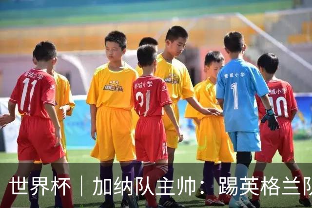 世界杯｜加纳队主帅：踢英格兰队不需要动员