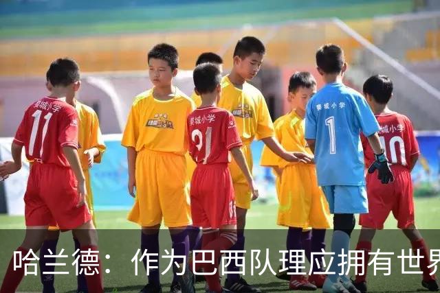 哈兰德：作为巴西队理应拥有世界上最顶尖的球员，我爱巴西
