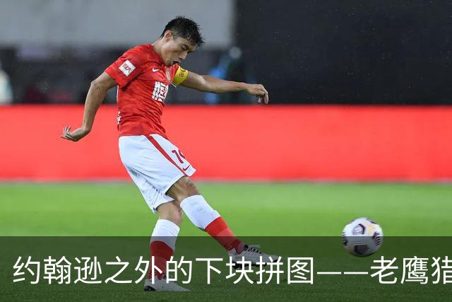 约翰逊之外的下块拼图——老鹰猎物清单与操作空间全解析