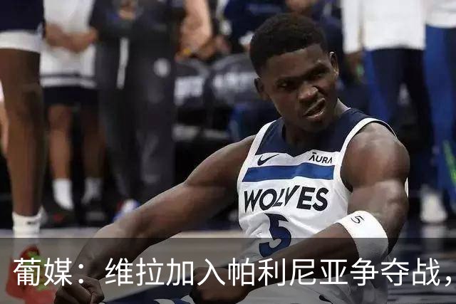 葡媒：维拉加入帕利尼亚争夺战，本菲卡凭亲情与恩师竞争