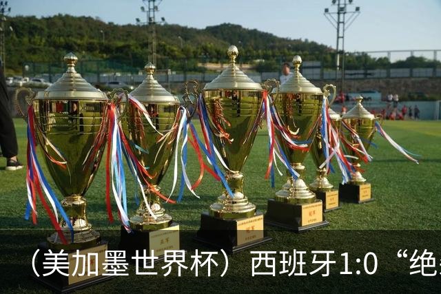 （美加墨世界杯）西班牙1:0“绝杀”葡萄牙 C罗结束世界杯征程